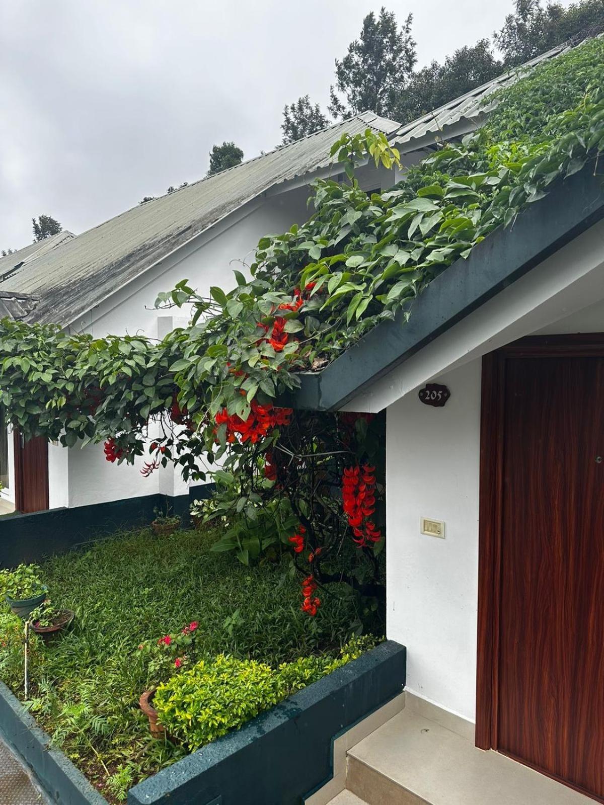 Munnar Tea Hills Resort - Mthr Exteriér fotografie
